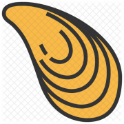 Mussel PNG Cutout