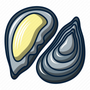 Mussel png HD Image