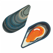 Mussel PNG Photos