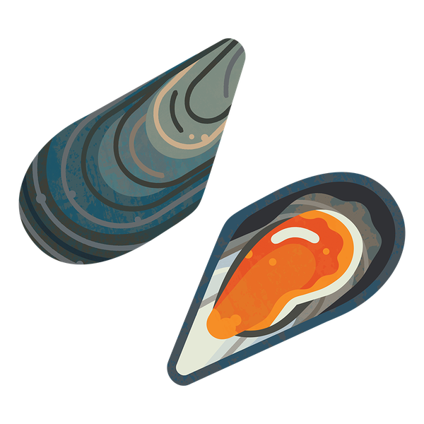 Mussel PNG Photos
