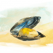 Mussel Seafood png