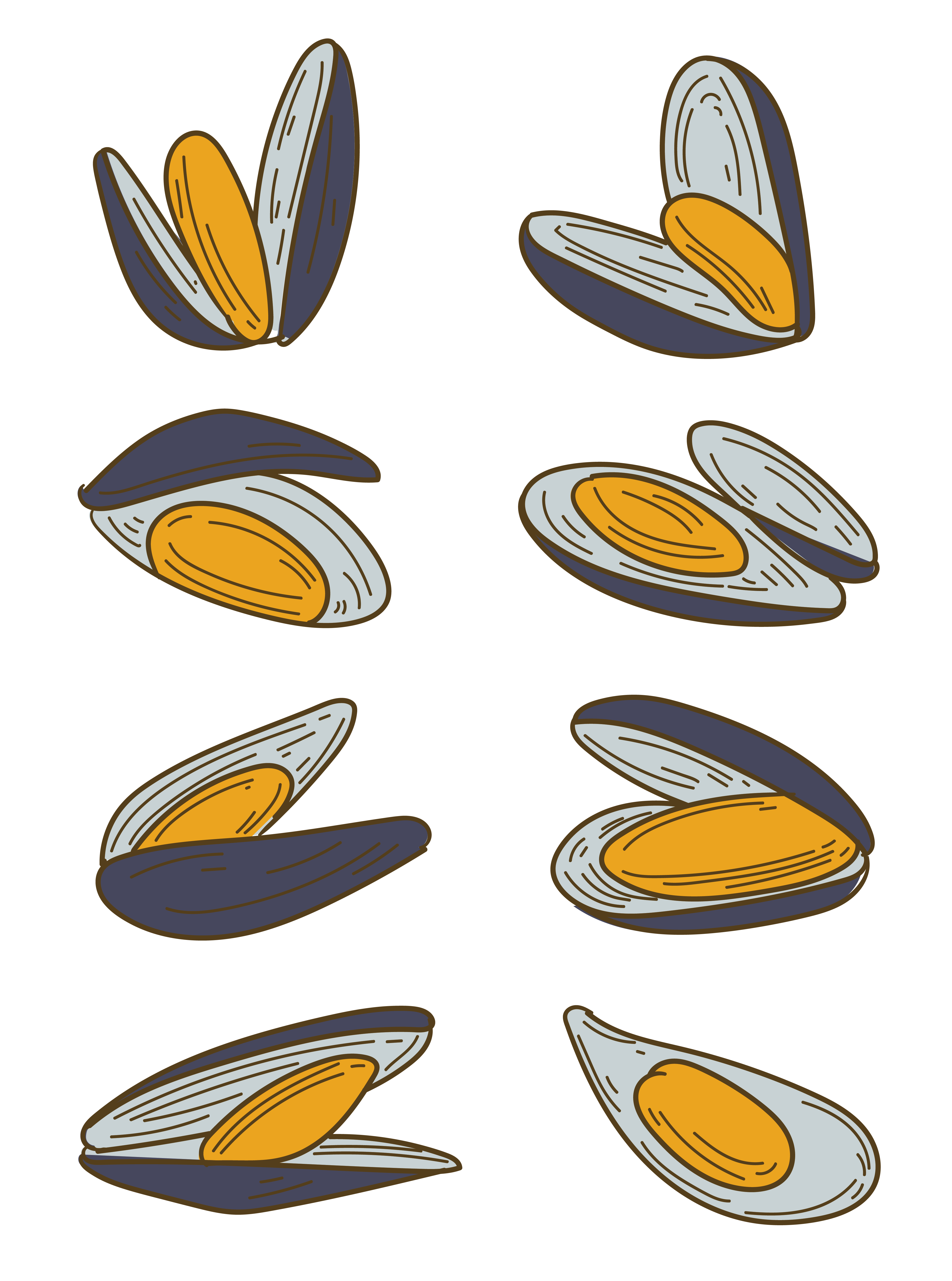 Mussel Seafood PNG Clipart
