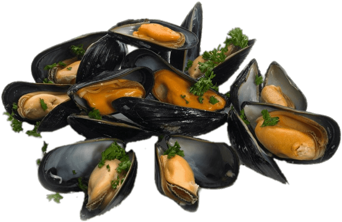 Mussel Seafood PNG File