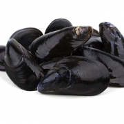 Mussel seafood png imahe