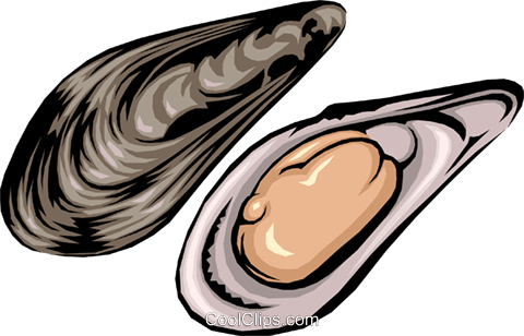 Mussel Seafood PNG Image HD