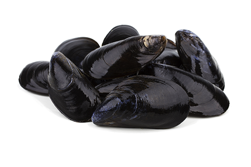 Mussel Seafood PNG Image