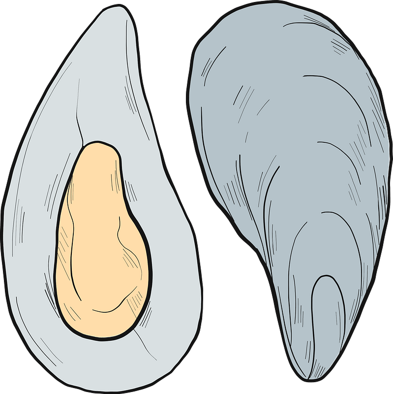 Mussel Seafood Png Photo
