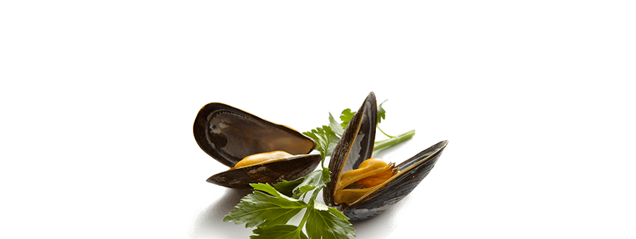 Mussel Seafood PNG Pic