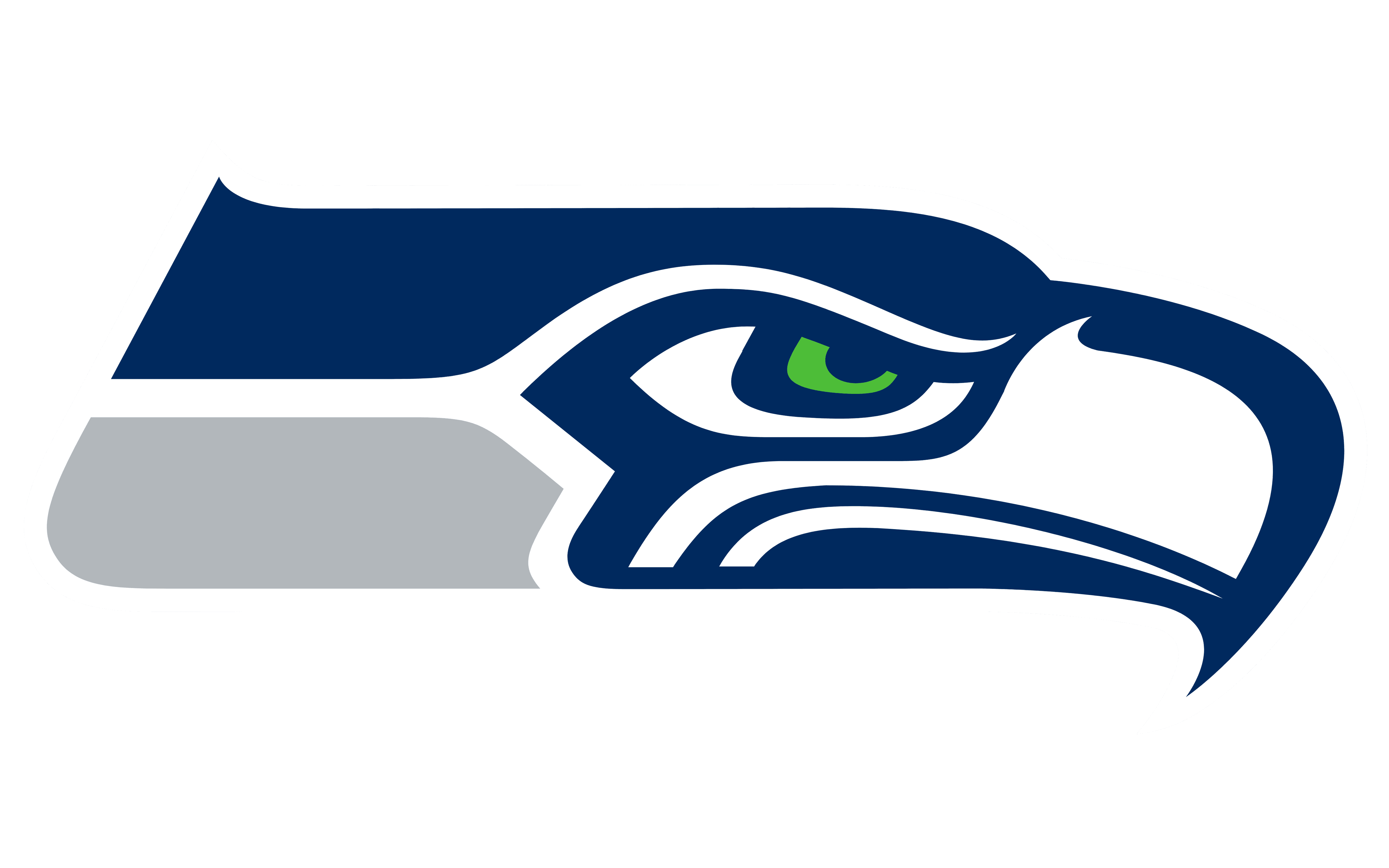NFL Logo PNG Cutout