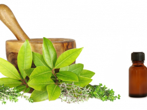 Naturopathy PNG Images
