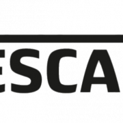 Nescafe Logo PNG Photos