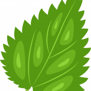 Nettle PNG Clipart