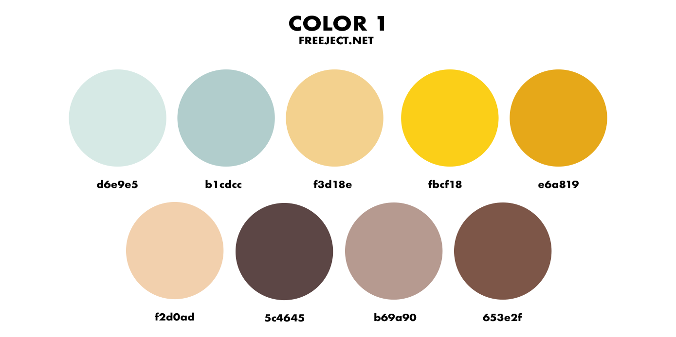 Palette PNG Cutout