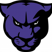 Panthers Logo PNG File