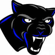 Panthers Logo PNG Images