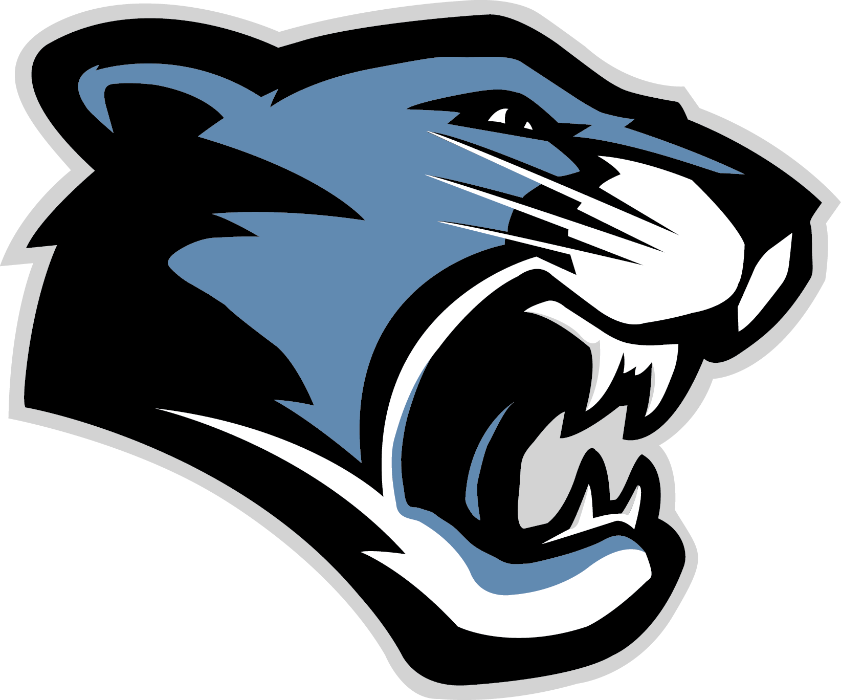 Panthers Logo PNG