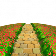 Pathway PNG Picture