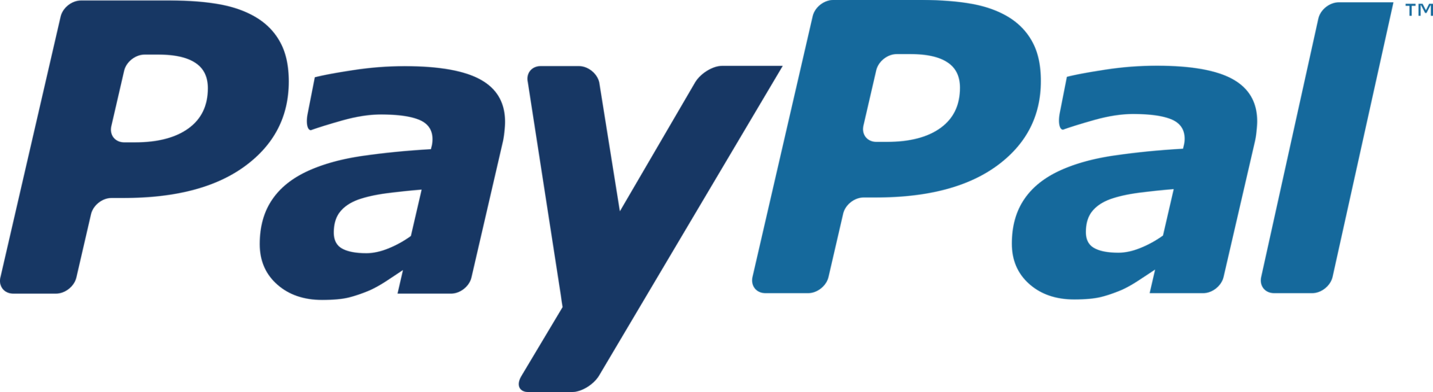 PayPal Logo PNG Pic