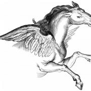 Pegasus Constellation PNG -Ausschnitt