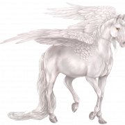 Pegasus Constellation PNG -Datei