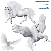Pegasus Constellation PNG Fotos
