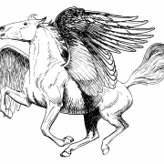 Pegasus takımyıldızı png resmi