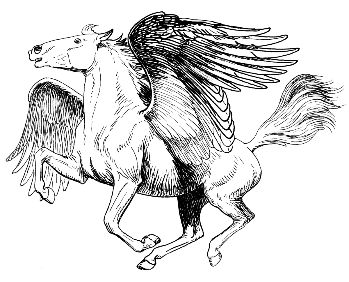 Pegasus Constellation PNG Bild