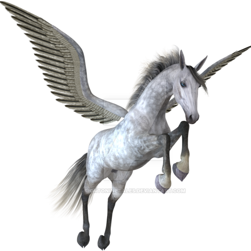 Pegasus PNG Image HD