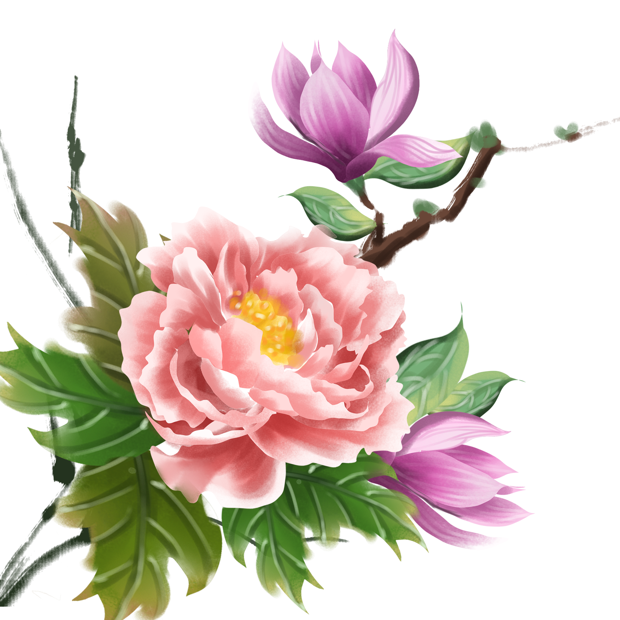 Peony Flower PNG Pic