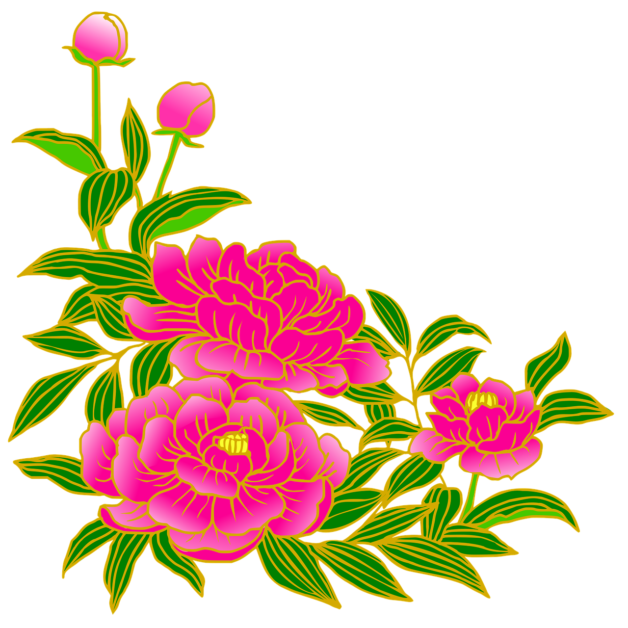 Peony PNG Images