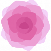 Pfingstrose rosa transparent