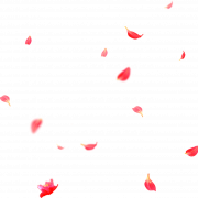Petals Flower PNG Clipart