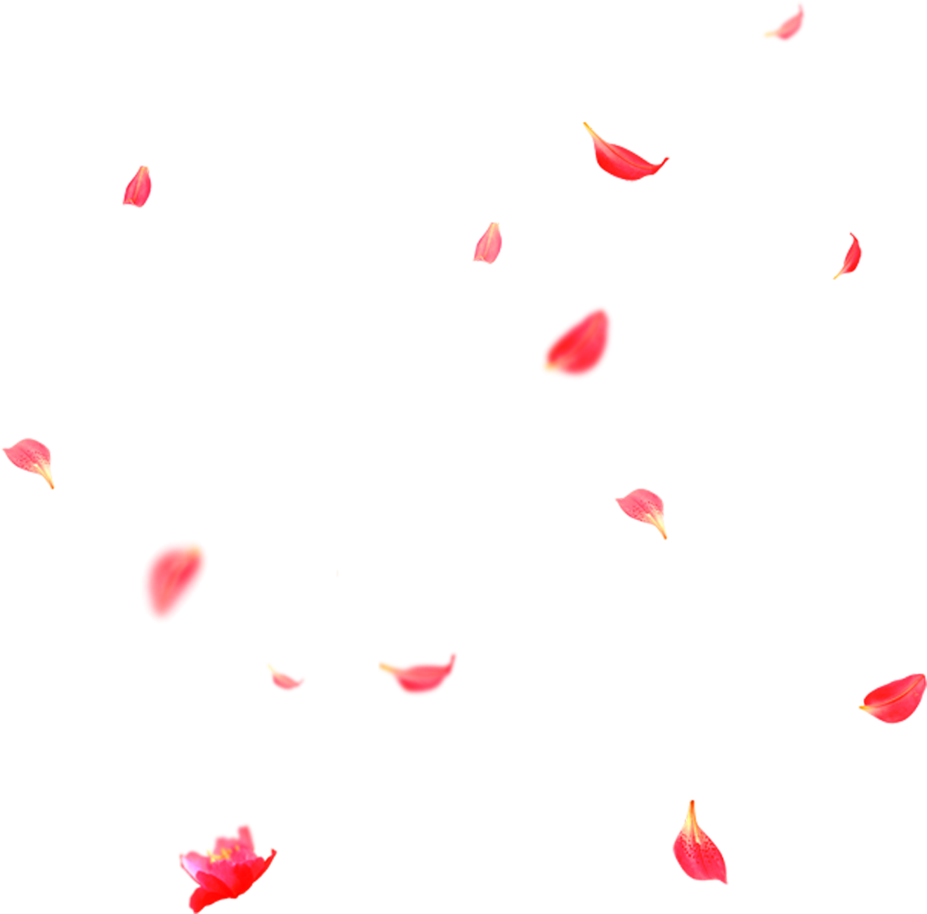 Petals Flower PNG Clipart