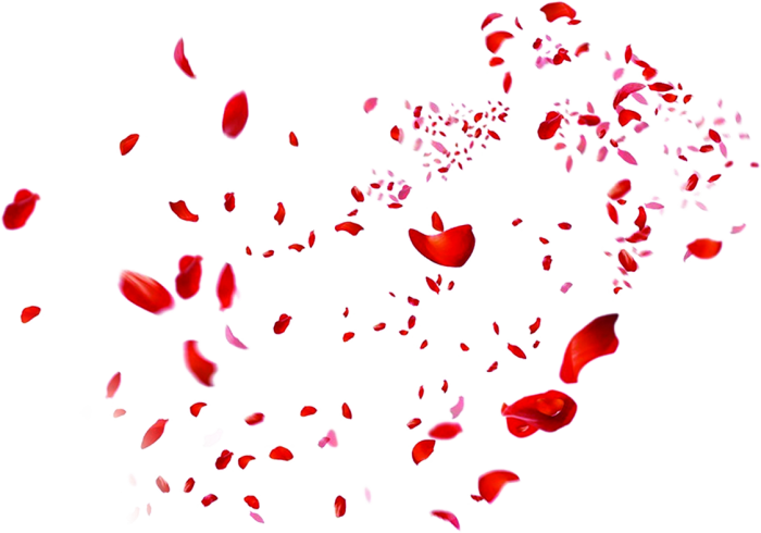 Petals Rose PNG Cutout