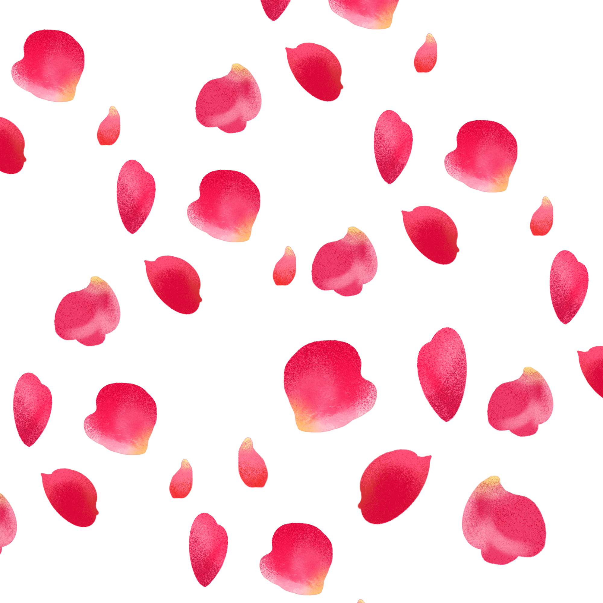 Bloemblaadjes Rose PNG -bestand