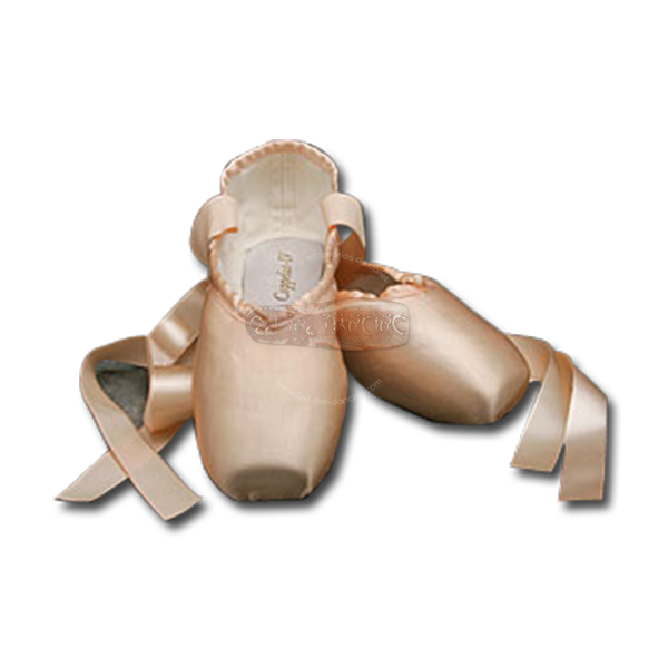 Pointe Shoes PNG Image