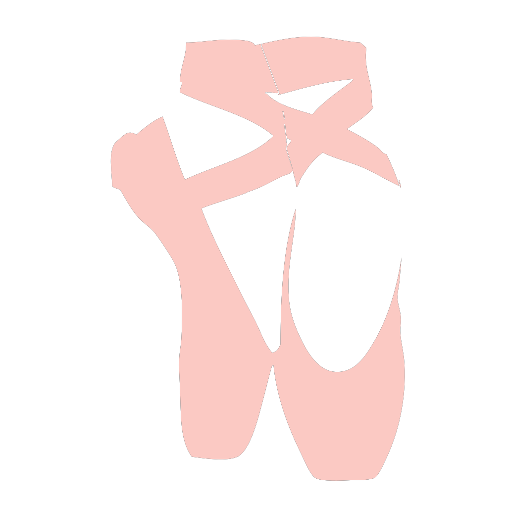 Pointe Shoes PNG