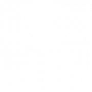 Red Taureau PNG