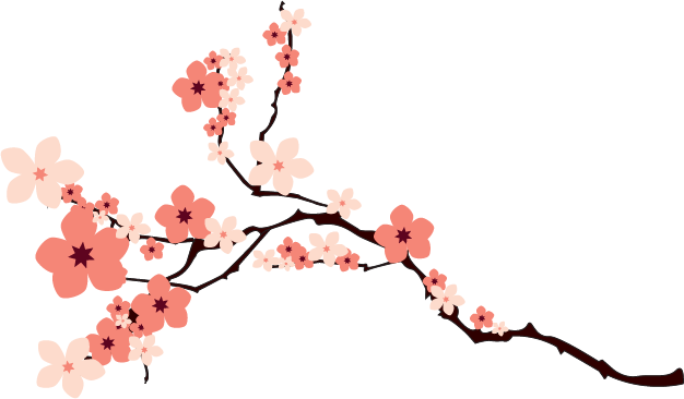 Sakura Cherry Blossom PNG File