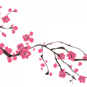 Sakura png Bild