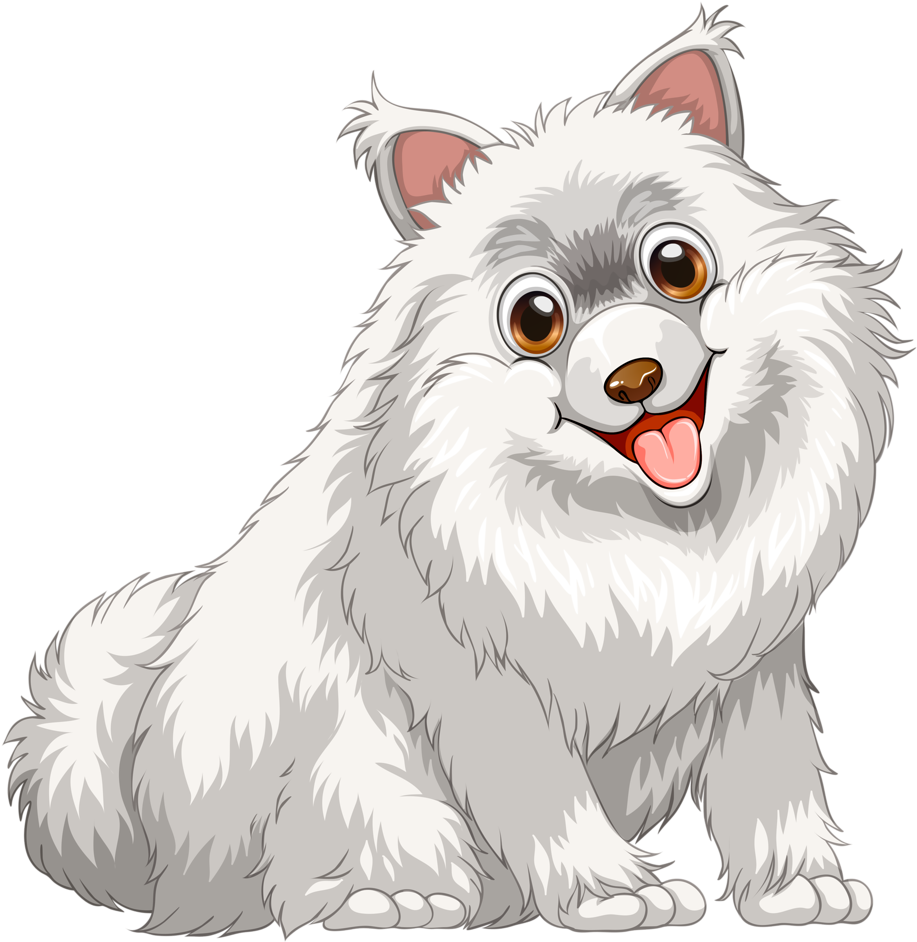 Samoyed Dog Full Grown PNG Picture