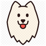 Samoyed Dog Png файл