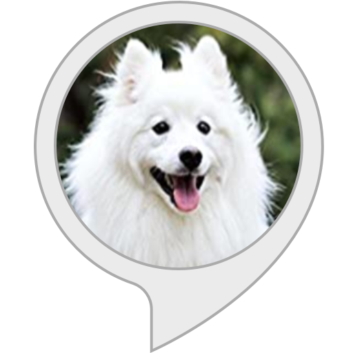 Samoyed Dog PNG Image File
