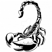 Scorpion Tattoo PNG HD Image