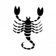 Scorpion Tattoo PNG Pic