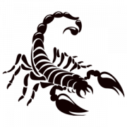 Scorpion Tattoo Transparent
