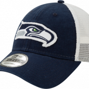 Seattle Seahawks PNG Free Image