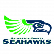 Seattle Seahawks PNG Pic