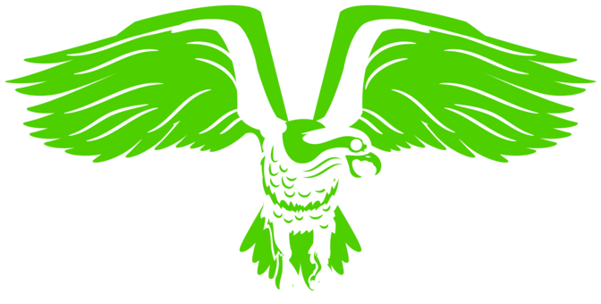 Seattle Seahawks PNG Picture