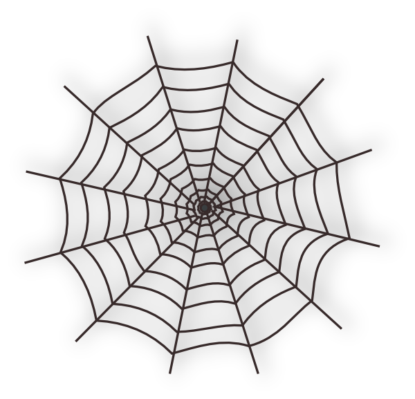 Spider Web Background PNG